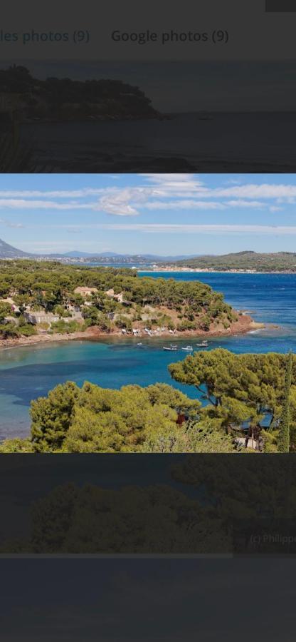 Charmant Studio Dans Villa - Jardin Privatif . La Seyne-sur-Mer Dış mekan fotoğraf